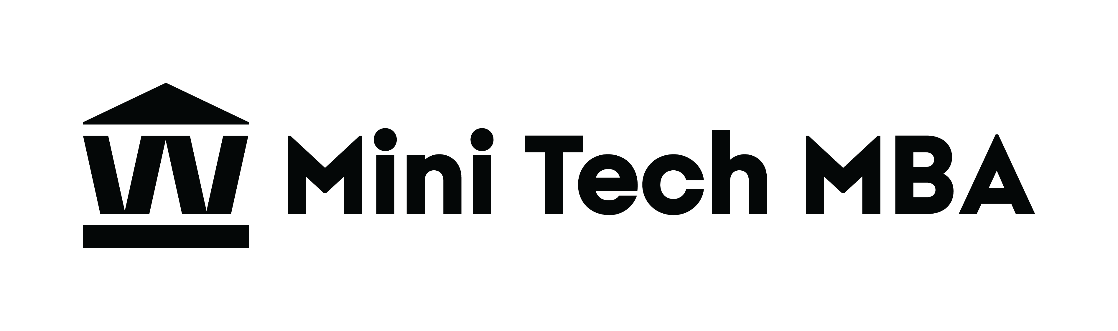 Mini Tech MBA